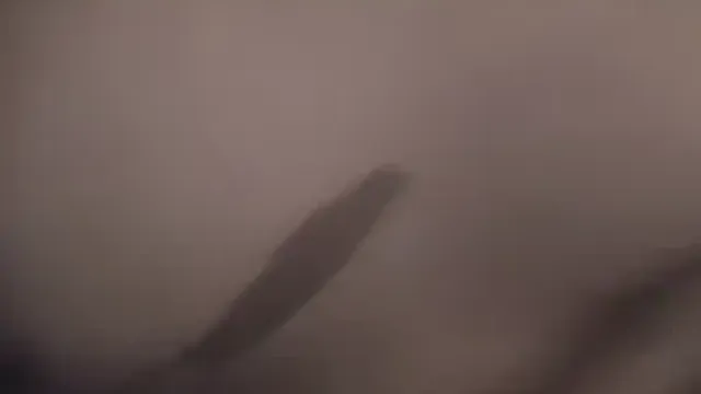 ip홈캠야동 부유층처럼 보이는 부부 넓은 거실 소파에서