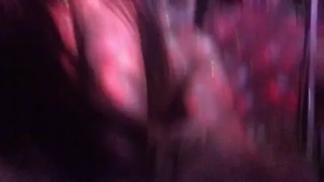 솜털보지 양이고