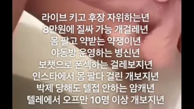 몸팔고 약빠는 트위터 대표 걸레짝 한나 1