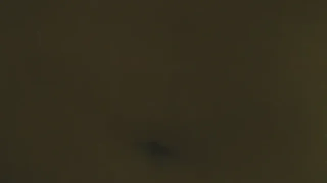 허리 잘 흔드는 예쁜애