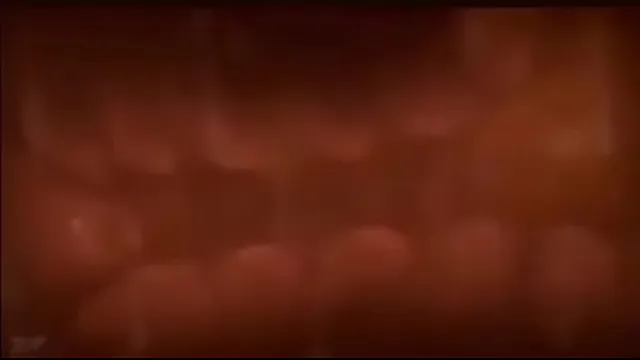 Creampie Animation