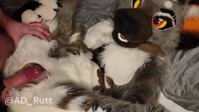 Furry Hyena girl gets fucked hard in fursuit Onlyfans preview