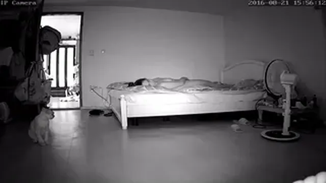 고양이 보는앞에서 쓸쓸히 자위하는 노처녀