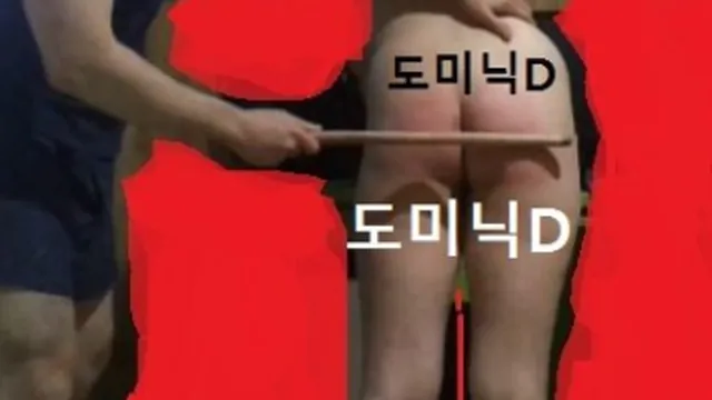 마조 전문 제조기 트위터 도미닉D 3