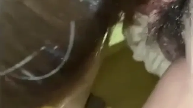 김씨 아저씨의 쓰리섬 2