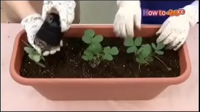 Female orgasm documentary