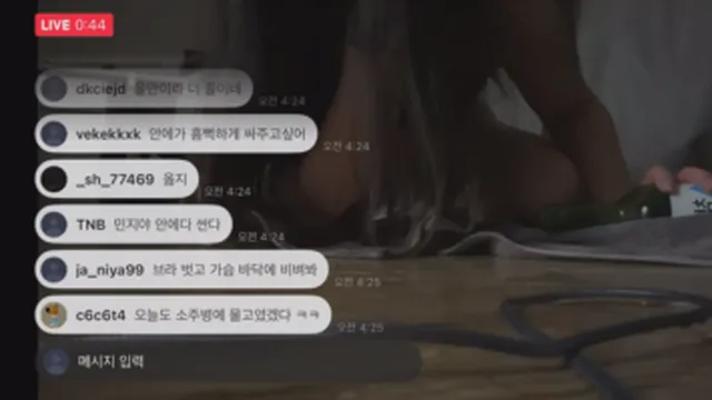 혁명적인 또라이 섹녀의 밴드 라이브
