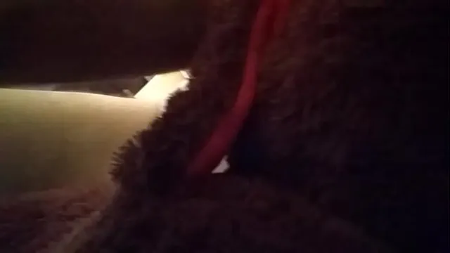 Gay humping