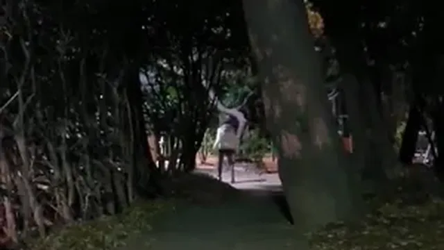 전국구 아다킬러 크림이 누님 합본 ᄏᄏ